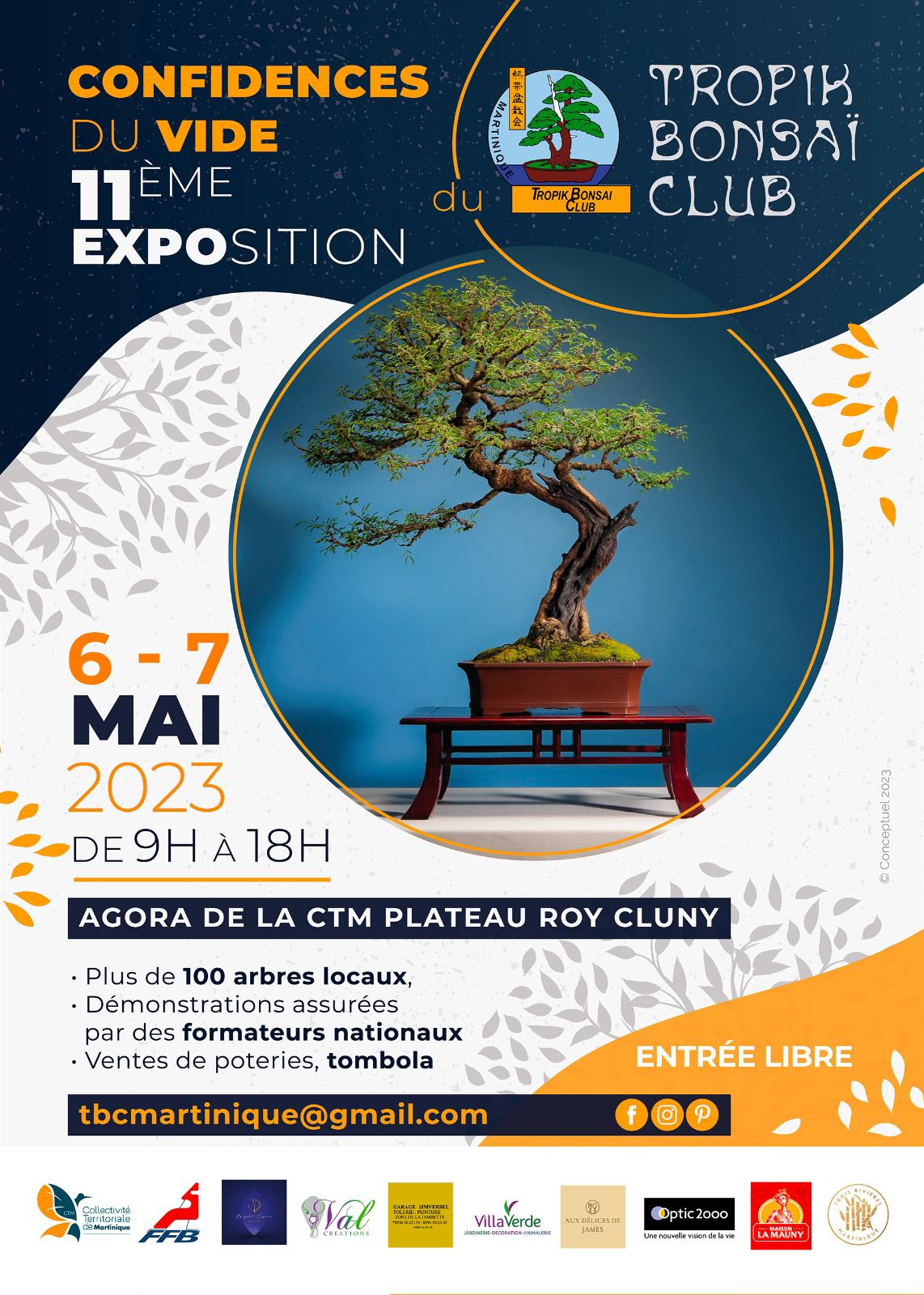 Exposition Bonsaï CollègeLycée Séminaire Collège SainteMarie